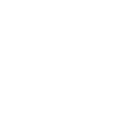 halorapidtesting white